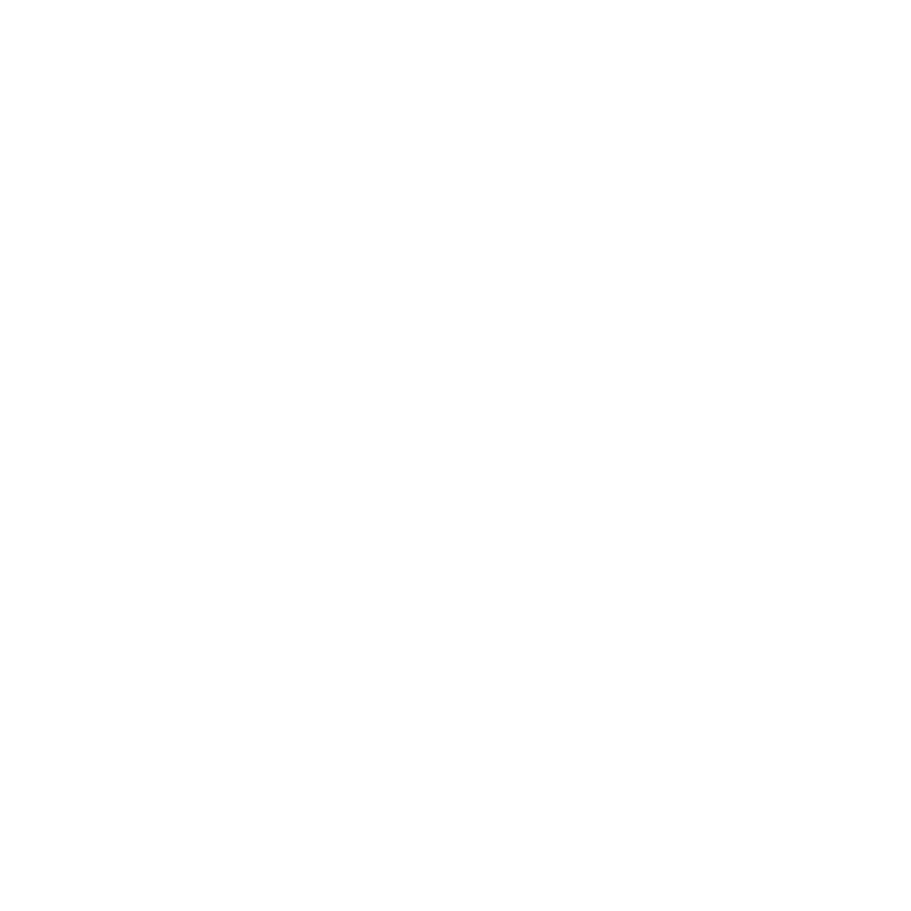 IDI Logo